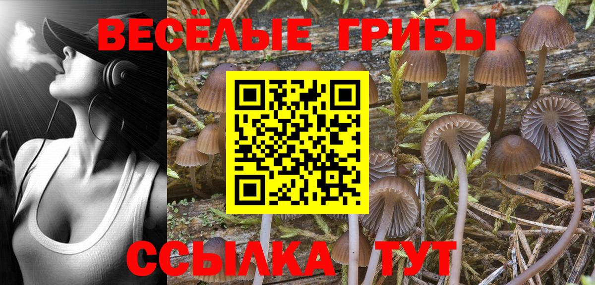 Галлюциногенные грибы ЛСД  Галлюциногенные грибы Psilocybine cubensis  где можно купить наркотик  Вход с VPN  Ржев 